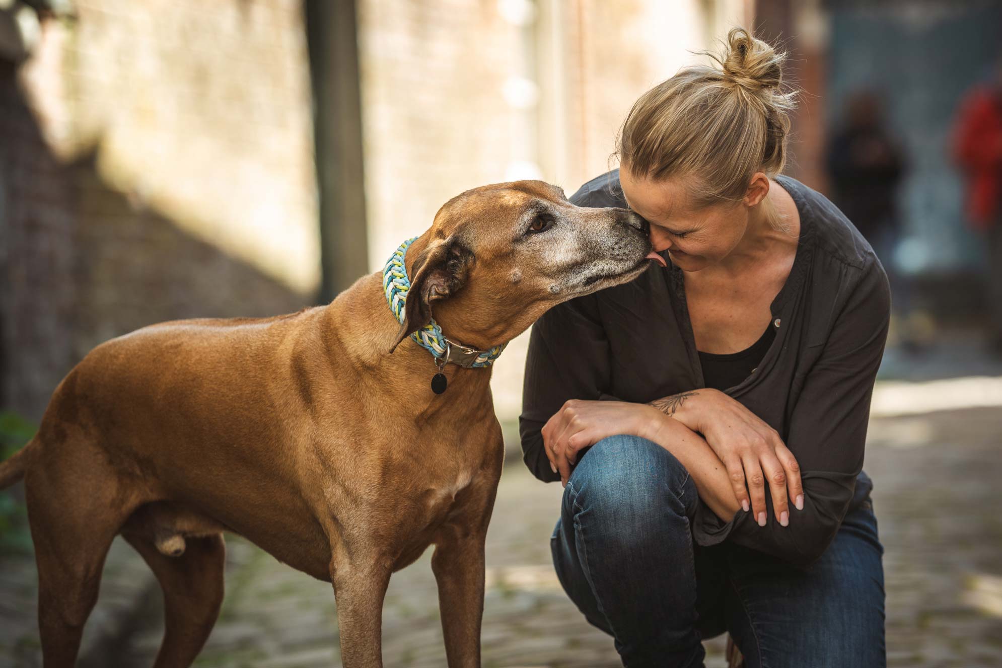 Hundefotografie Ostfriesland Leer